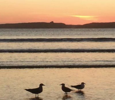 cheap-hostel-essaouira